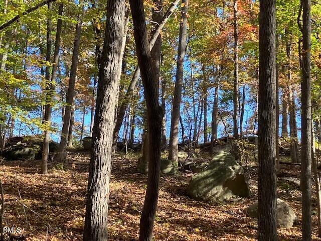 9 Buttonwood Ln Lot 9, Roxboro, NC 27574