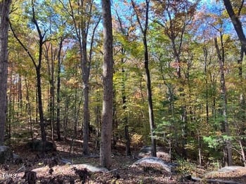 9 Buttonwood Ln Lot 9, Roxboro, NC 27574