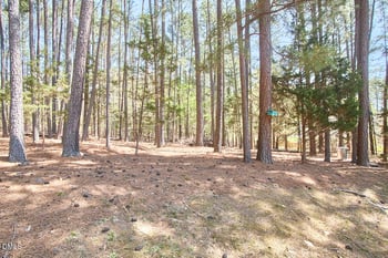 9 Cabes Mill Rd, Durham, NC 27705