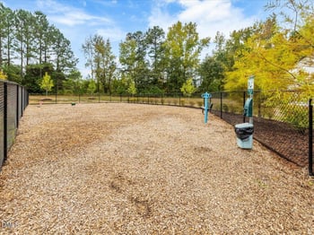 90 Barnsley Rd, Angier, NC 27501