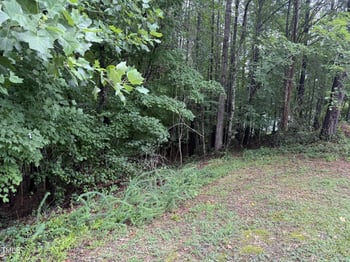 90 Green Way Dr, Clayton, NC 27520