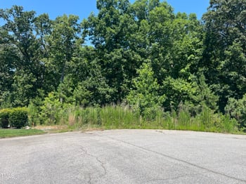 90 Isabella Ct, Clayton, NC 27527