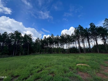 90 Laramie Ln #(36), Selma, NC 27576