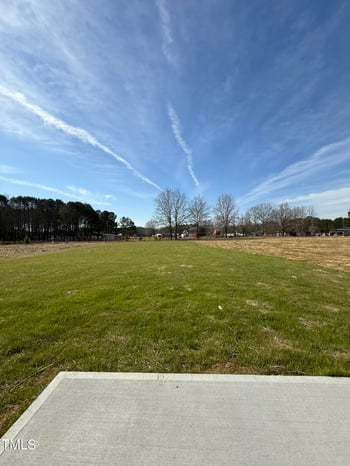 90 Pate Landing Dr, Selma, NC 27576