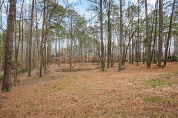 9006 Honeycutt Rd, Raleigh, NC 27615