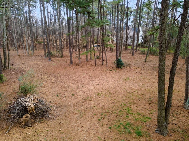 9006 Honeycutt Rd, Raleigh, NC 27615