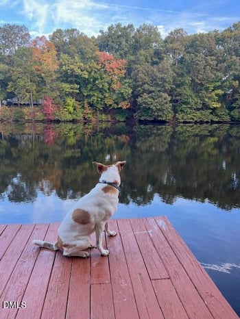 901 Bridge Way, Raleigh, NC 27615