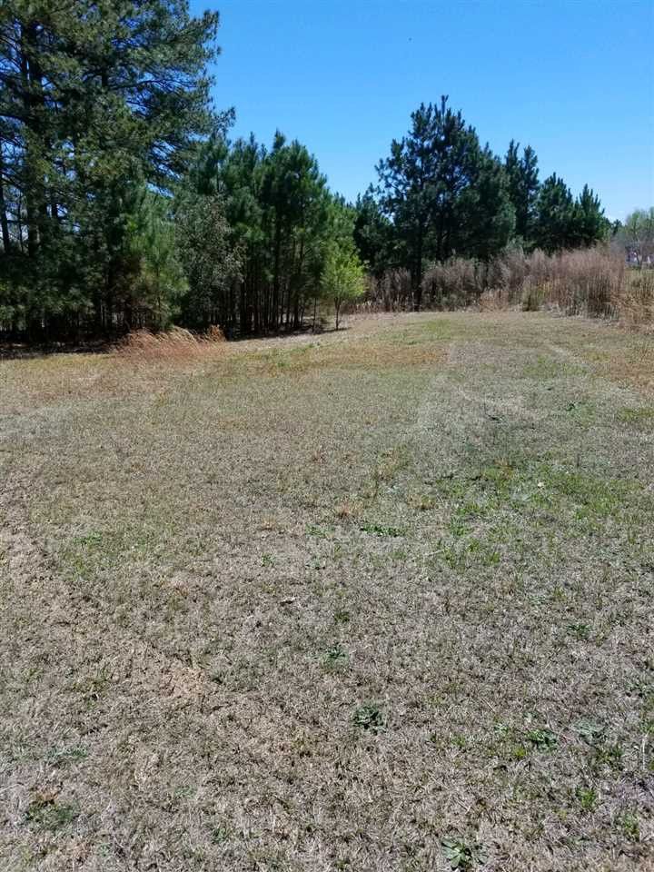 9020 Ferrell Rd Lot 2, Zebulon, NC 27597