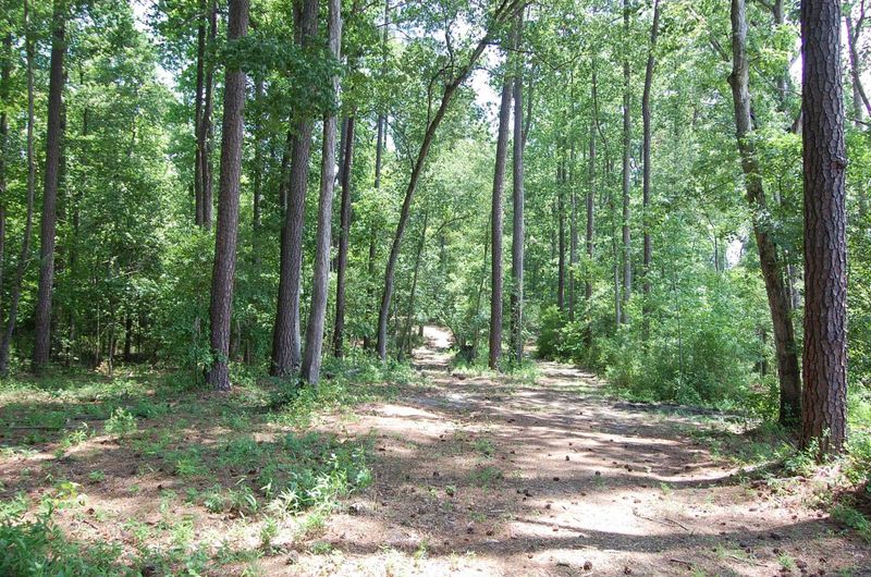 9021 Hazel Forest Dr, Fuquay Varina, NC 27526
