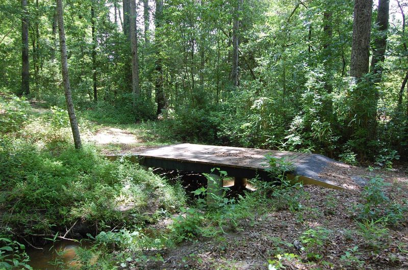 9021 Hazel Forest Dr, Fuquay Varina, NC 27526