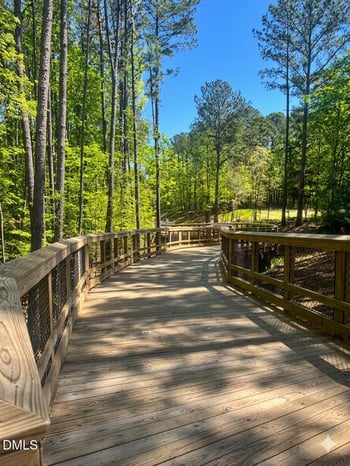 903 Straywhite Ave, Apex, NC 27539