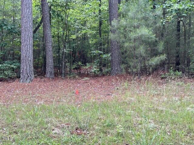9033 Collins Creek Dr Lot NA, Chapel Hill, NC 27516