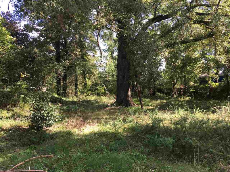 905 Bunn Ter Lot 6, Durham, NC 27703
