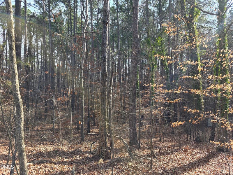 906 Ardmore Dr Lot 9, Durham, NC 27713