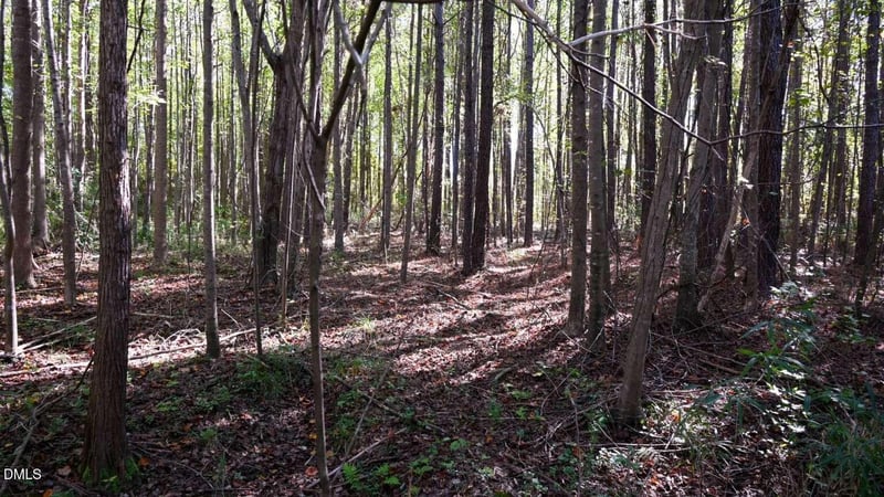 906 Shaw Mill Rd, Fayetteville, NC 28311