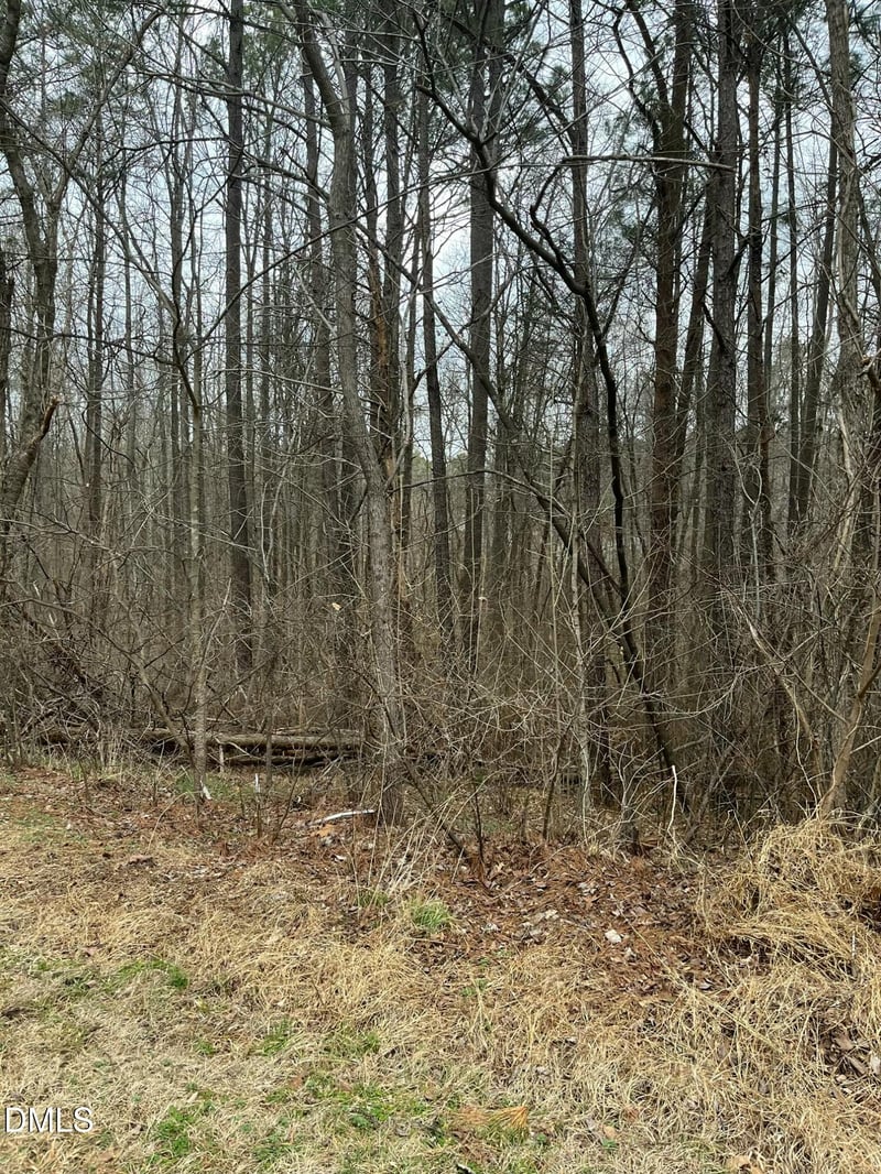 91 Lot Haynoke Dr Lot 91, Graham, NC 27253