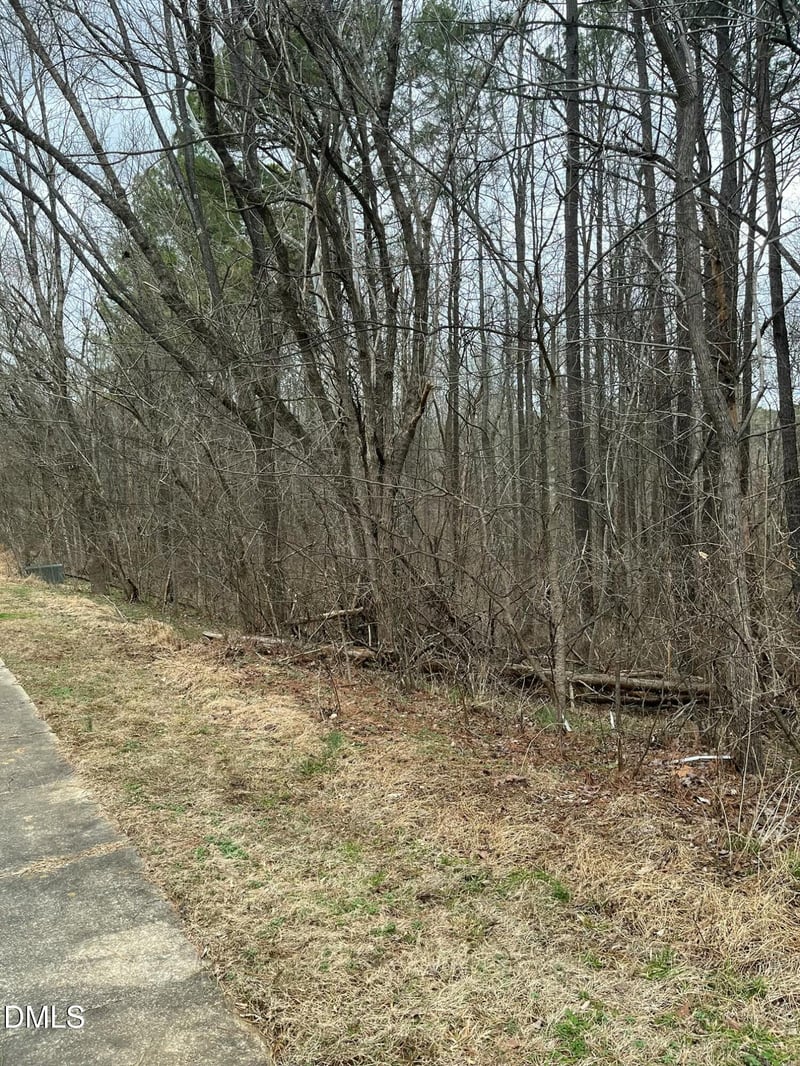 91 Lot Haynoke Dr Lot 91, Graham, NC 27253