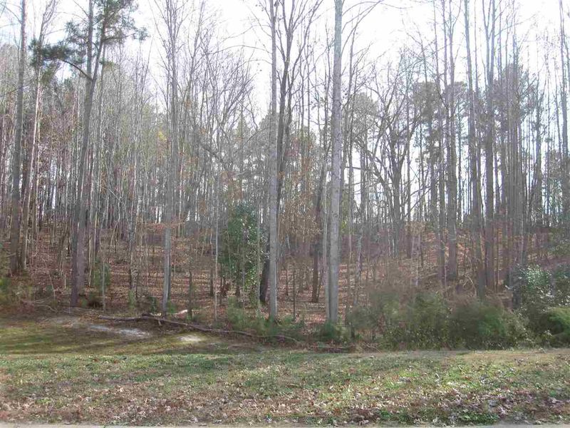 91 Watrus Dr Lot 8, Clayton, NC 27527