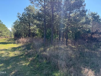 910 Festus Rd Lot 7, Coats, NC 27521