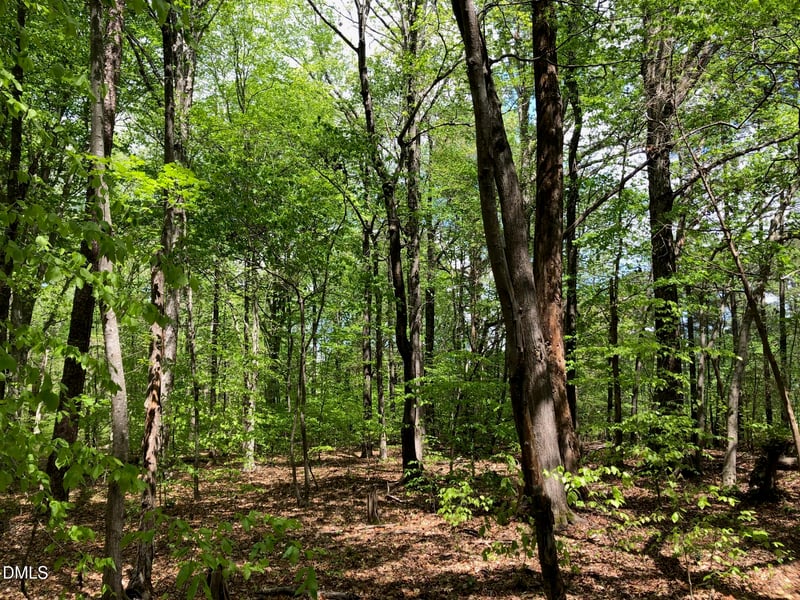 910 Nc 902 Lot 2, Pittsboro, NC 27312