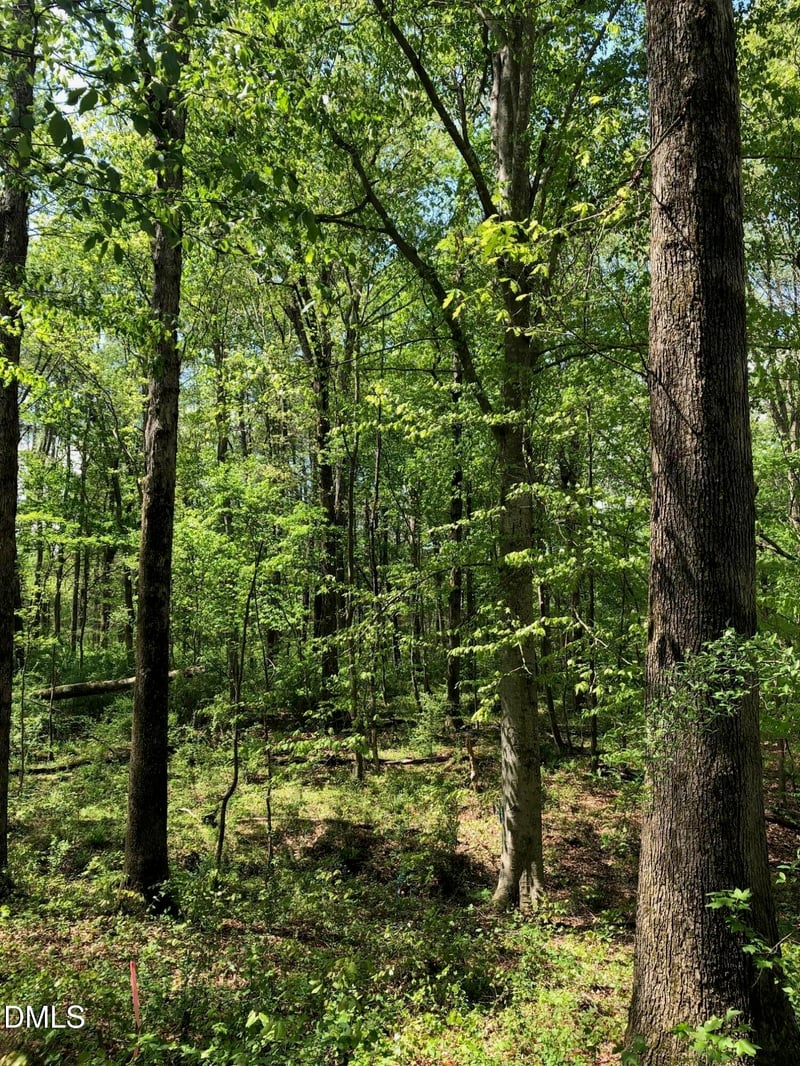 910 Nc 902 Lot 2, Pittsboro, NC 27312