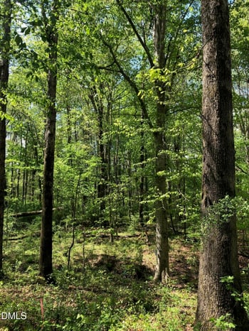 910 Nc 902 , Pittsboro, NC 27312