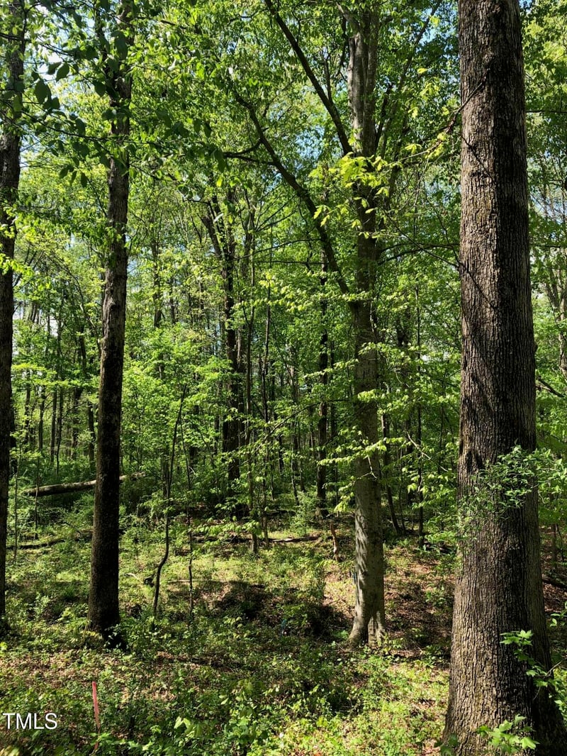 910 Nc Hwy 902, Pittsboro, NC 27312