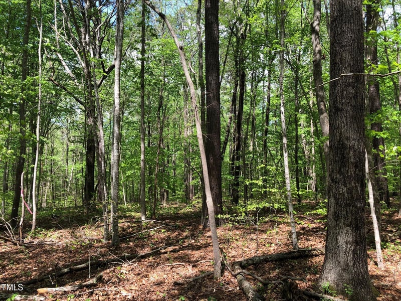 910 Nc Hwy 902, Pittsboro, NC 27312