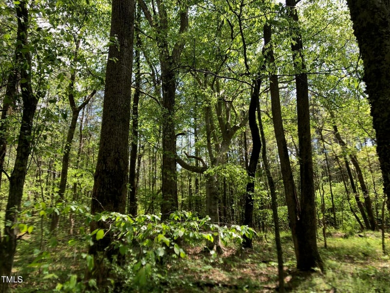 910 Nc Hwy 902, Pittsboro, NC 27312