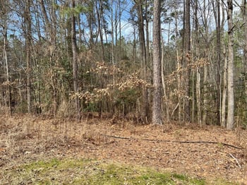 9112 Old Cascade Dr Lot 32-35, Garner, NC 27529