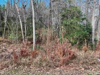 9112 Old Cascade Dr Lot 32-35, Garner, NC 27529