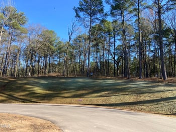 9113 Moon Lake Ln Lot 22, New Hill, NC 27562
