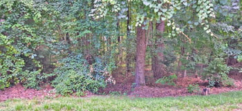 913 Windrace Trl Lot 913, Sanford, NC 27332