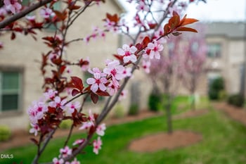 914 Bonanza Ln, Mebane, NC 27302