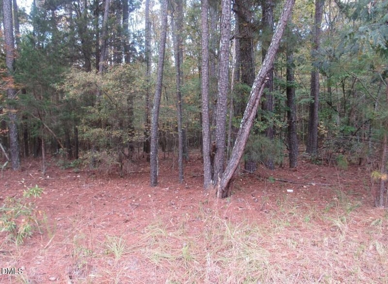 914 Taylors Chapel Lot Parcel 4, Sanford, NC 27330