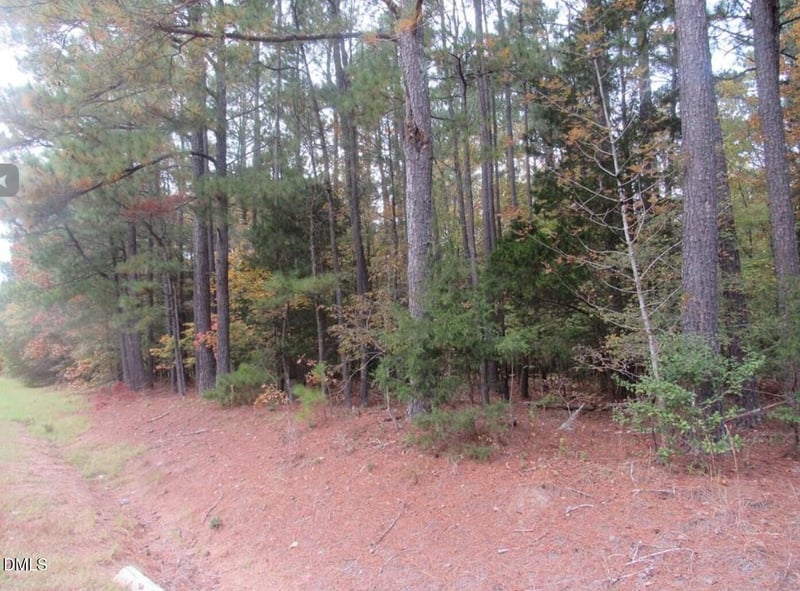 914 Taylors Chapel Lot Parcel 4, Sanford, NC 27330