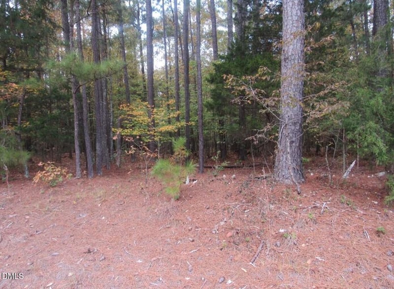 914 Taylors Chapel Lot Parcel 4, Sanford, NC 27330