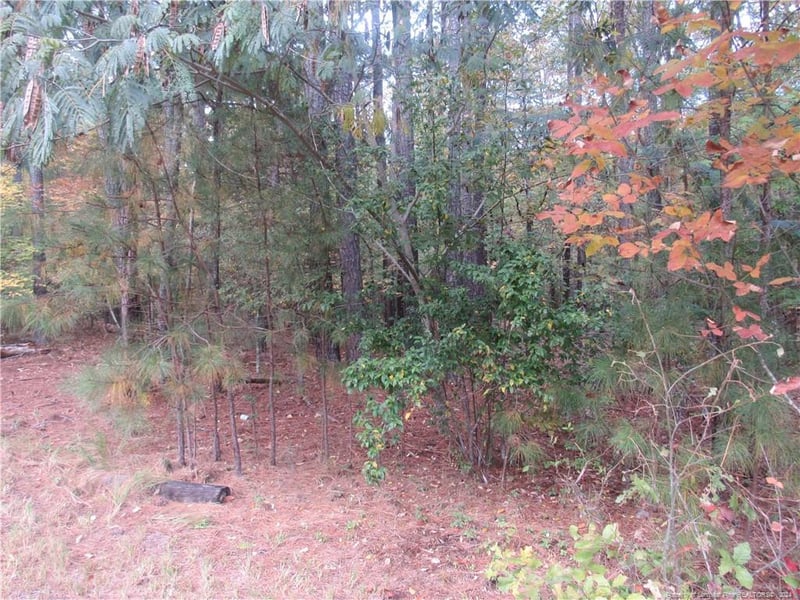 914 Taylors Chapel Rd, Sanford, NC 27330