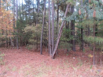 914 Taylors Chapel Rd, Sanford, NC 27330
