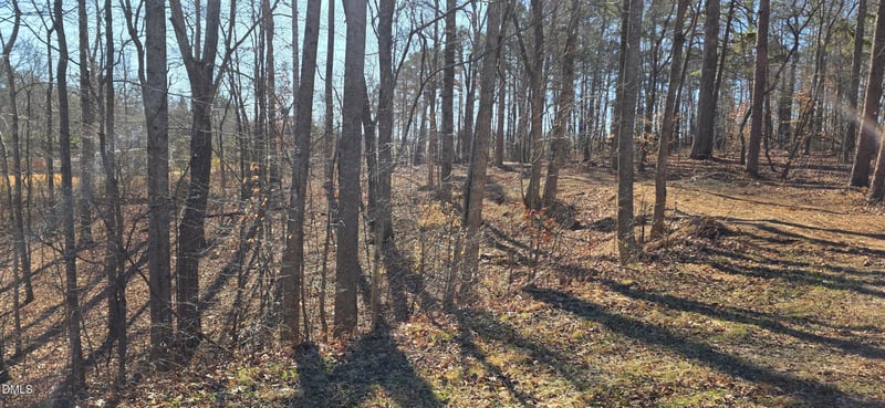 917-923 Nc 86 Lot 1-4, Hillsborough, NC 27278