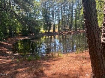 919 Homestead Park Dr, Apex, NC 27502