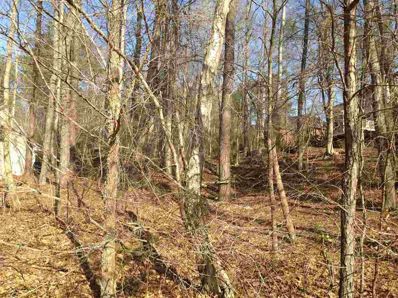 920 Barnford Mill Rd Lot 67, Wake Forest, NC 27587