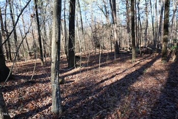 920 Chowan Ave, Durham, NC 27713