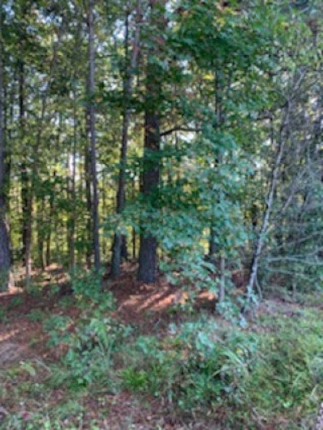 920 Garner Rd, Selma, NC 27576