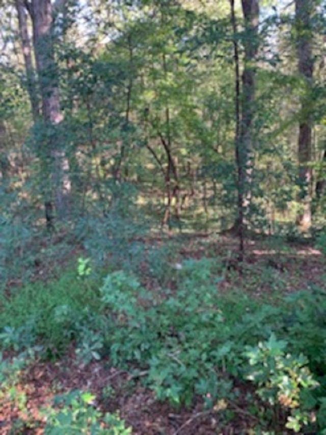 920 Garner Rd, Selma, NC 27576