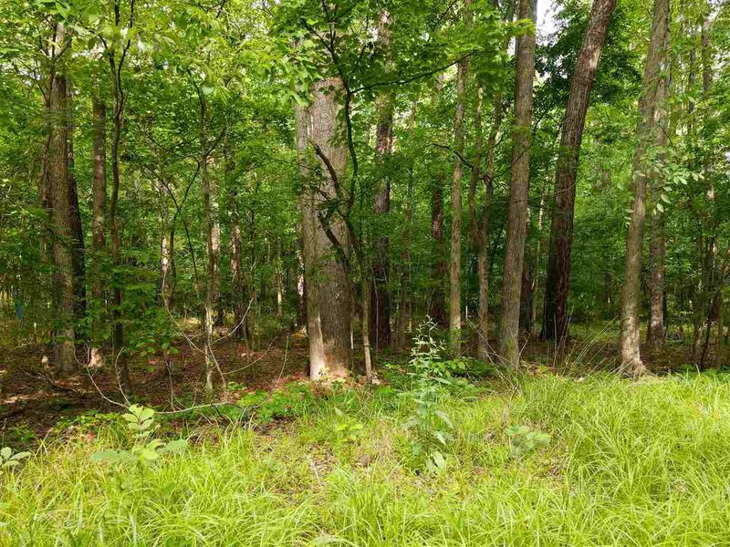 921 Mclamb Dr Lot 75-76, Durham, NC 27703