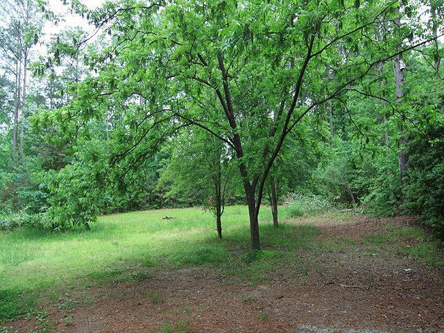 9216 Holly Springs Rd, Apex, NC 27539