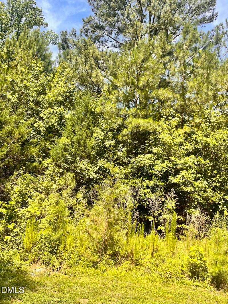 9220 Eisenhower Dr Lot 073, Apex, NC 27539