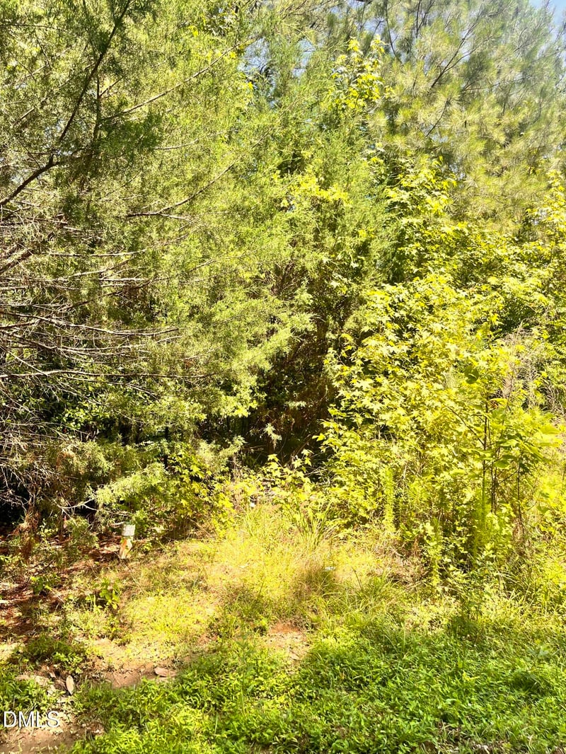 9220 Eisenhower Dr Lot 073, Apex, NC 27539