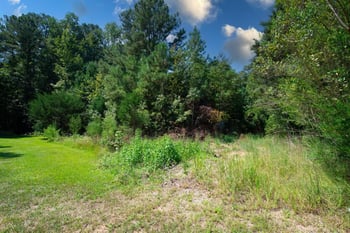 9220 Eisenhower Dr Lot 73, Apex, NC 27502